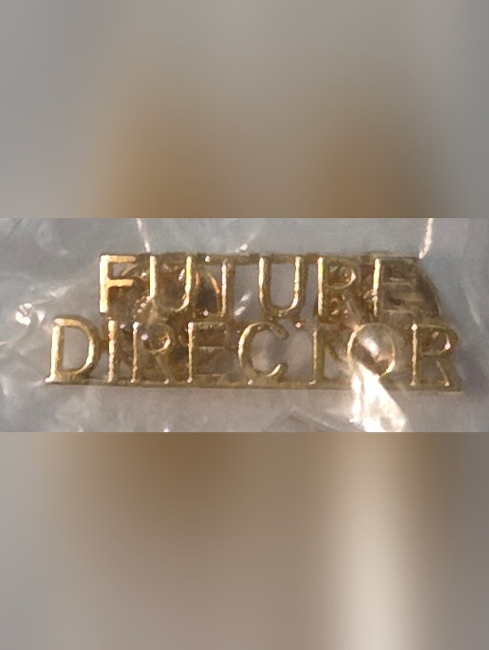 Gold Letter-Block "FUTURE DIRECTOR" Lapel Pin